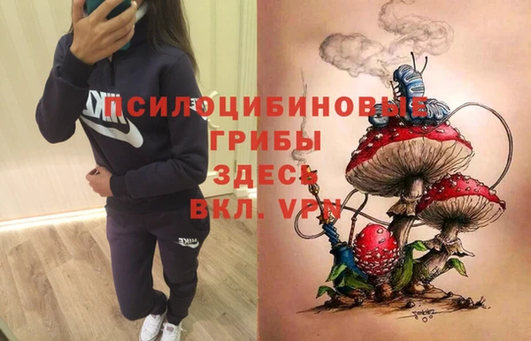 молекула духа Абинск