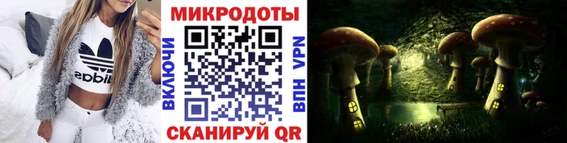 закладки  Александров  Галлюциногенные грибы Psilocybine cubensis 